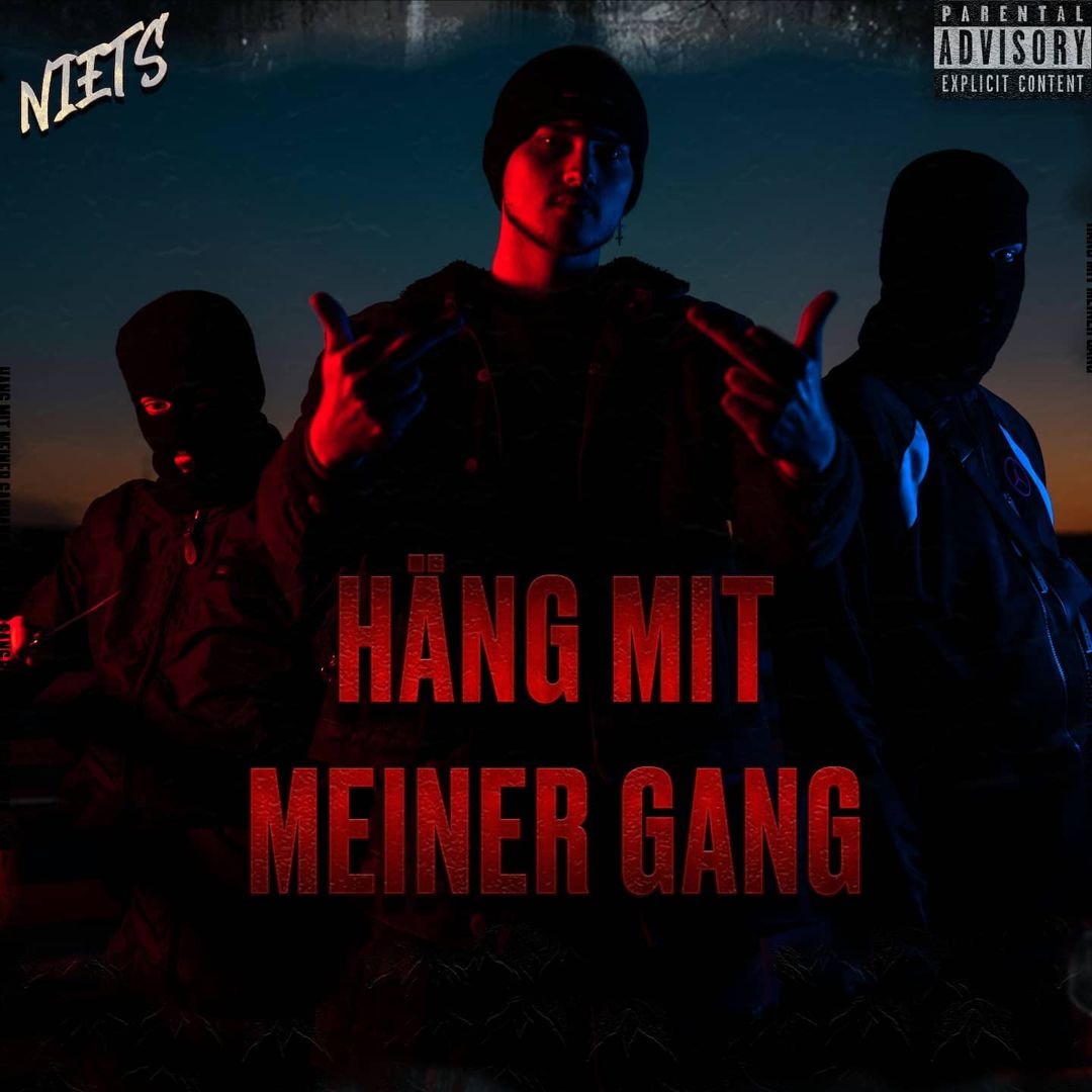 Cover: Häng mit meiner Gang – Niets